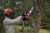 Pilarka spalinowa Shindaiwa 251Ts