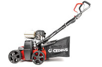 Wertykulator spalinowy CEDRUS WR01-H